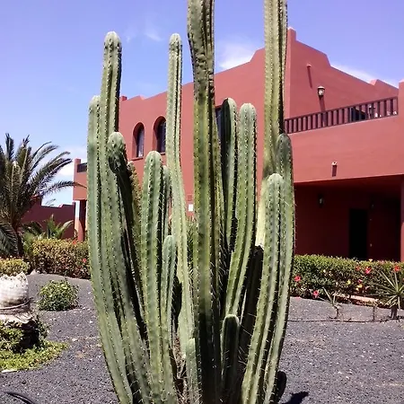 Marvida Oasis Tamarindo A Κοραλέχο
