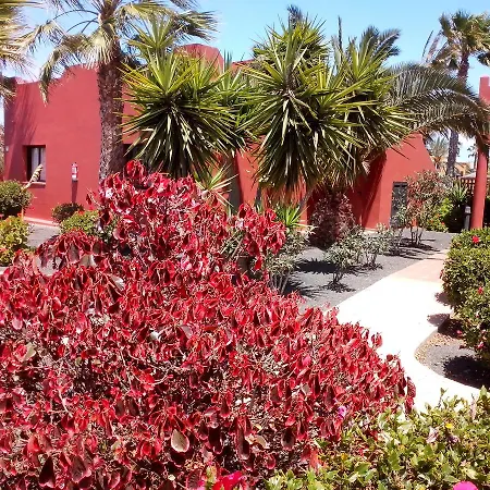 Διαμέρισμα Marvida Oasis Tamarindo A *